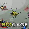 BioCage